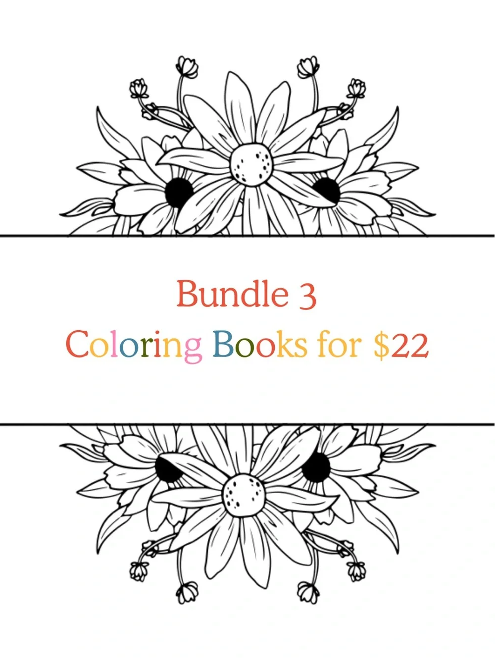 Bundle of 3 any Coloring Books for $22